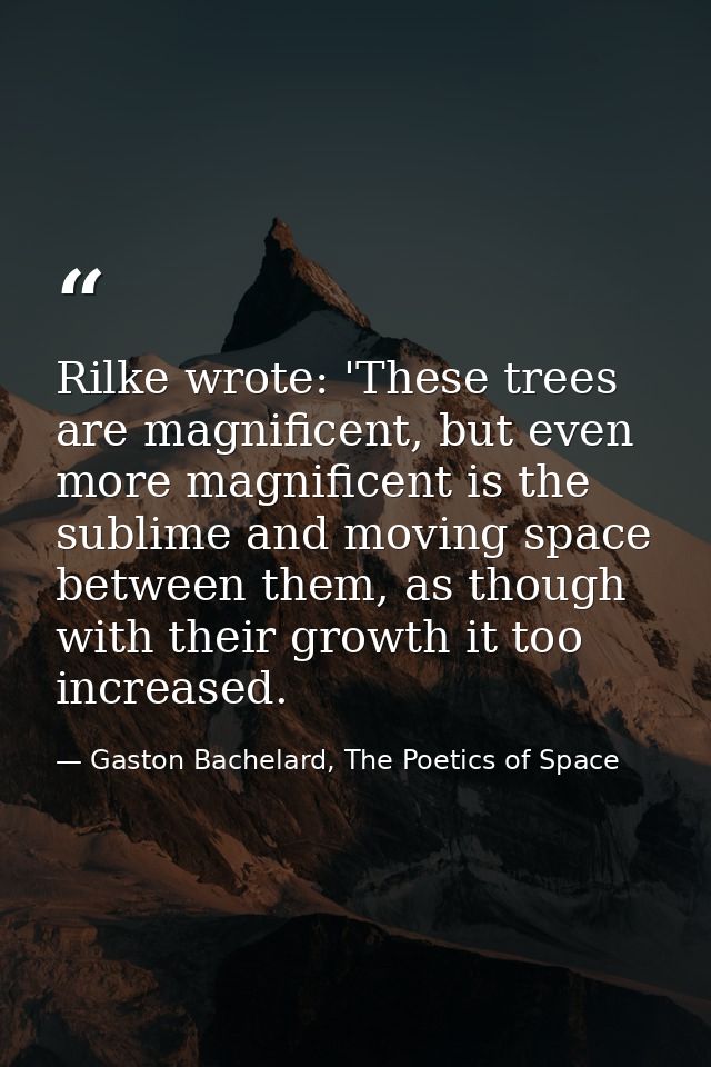 Rilke wrote: 'These trees are magnificent, but even more magnificent is the sublime and moving space between them, as th — Gaston Bachelard, The Poetics of Space