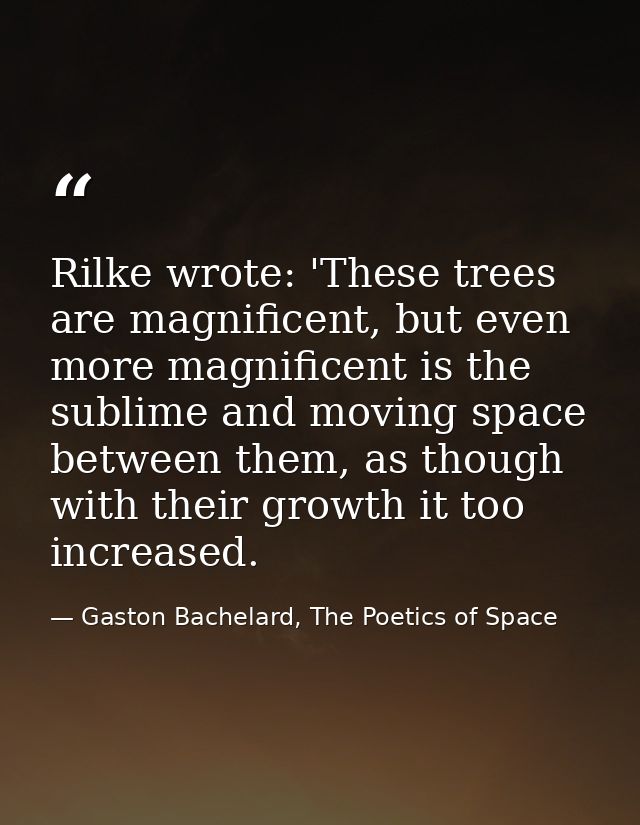 Rilke wrote: 'These trees are magnificent, but even more magnificent is the sublime and moving space between them, as th — Gaston Bachelard, The Poetics of Space