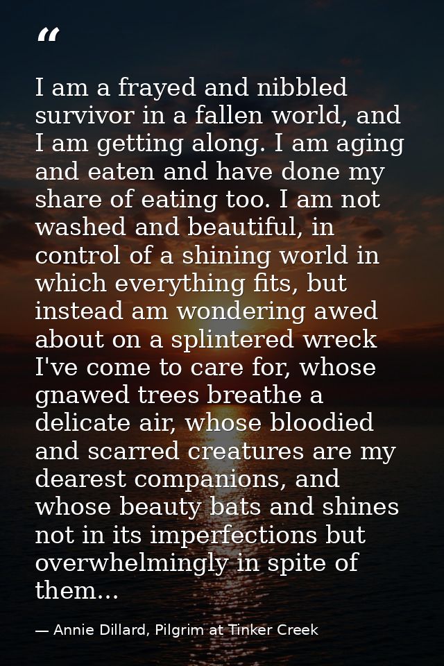 I am a frayed and nibbled survivor in a fallen world, and I am getting along. I am aging and eaten and have done my shar — Annie Dillard, Pilgrim at Tinker Creek