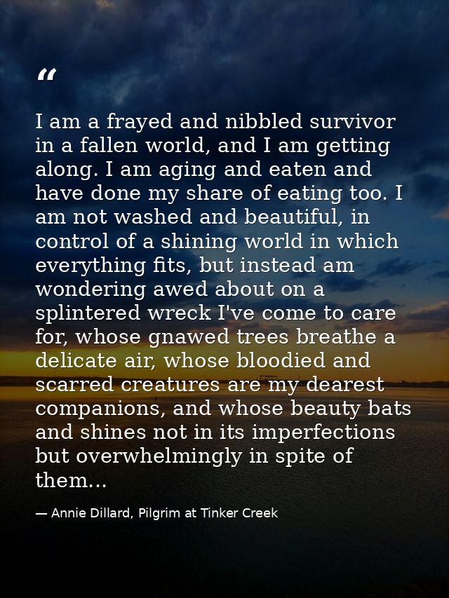 I am a frayed and nibbled survivor in a fallen world, and I am getting along. I am aging and eaten and have done my shar — Annie Dillard, Pilgrim at Tinker Creek