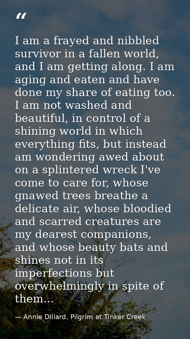 I am a frayed and nibbled survivor in a fallen world, and I am getting along. I am aging and eaten and have done my shar — Annie Dillard, Pilgrim at Tinker Creek