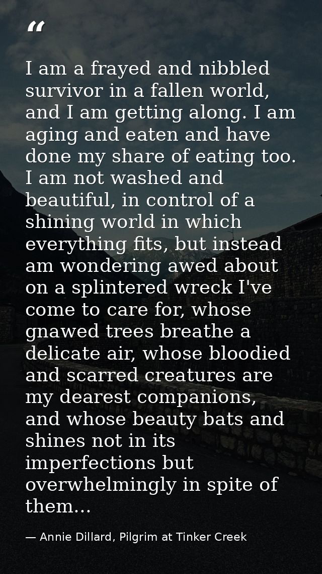 I am a frayed and nibbled survivor in a fallen world, and I am getting along. I am aging and eaten and have done my shar — Annie Dillard, Pilgrim at Tinker Creek