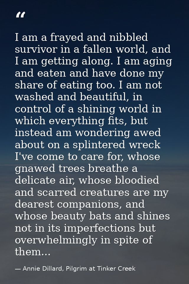 I am a frayed and nibbled survivor in a fallen world, and I am getting along. I am aging and eaten and have done my shar — Annie Dillard, Pilgrim at Tinker Creek