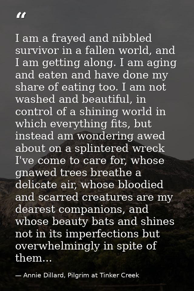 I am a frayed and nibbled survivor in a fallen world, and I am getting along. I am aging and eaten and have done my shar — Annie Dillard, Pilgrim at Tinker Creek