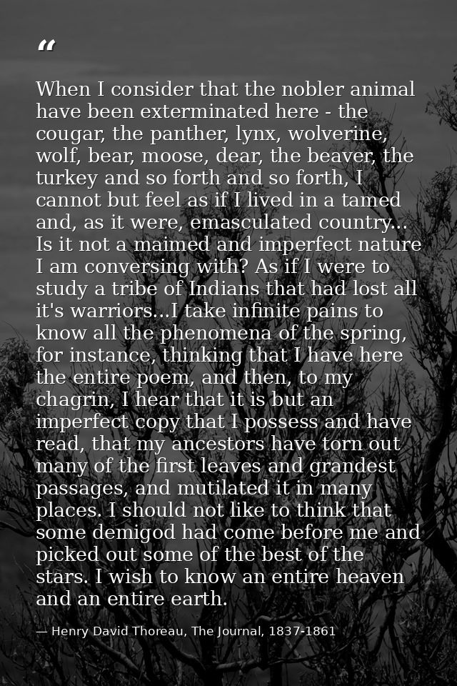 When I consider that the nobler animal have been exterminated here - the cougar, the panther, lynx, wolverine, wolf, bea — Henry David Thoreau, The Journal, 1837-1861