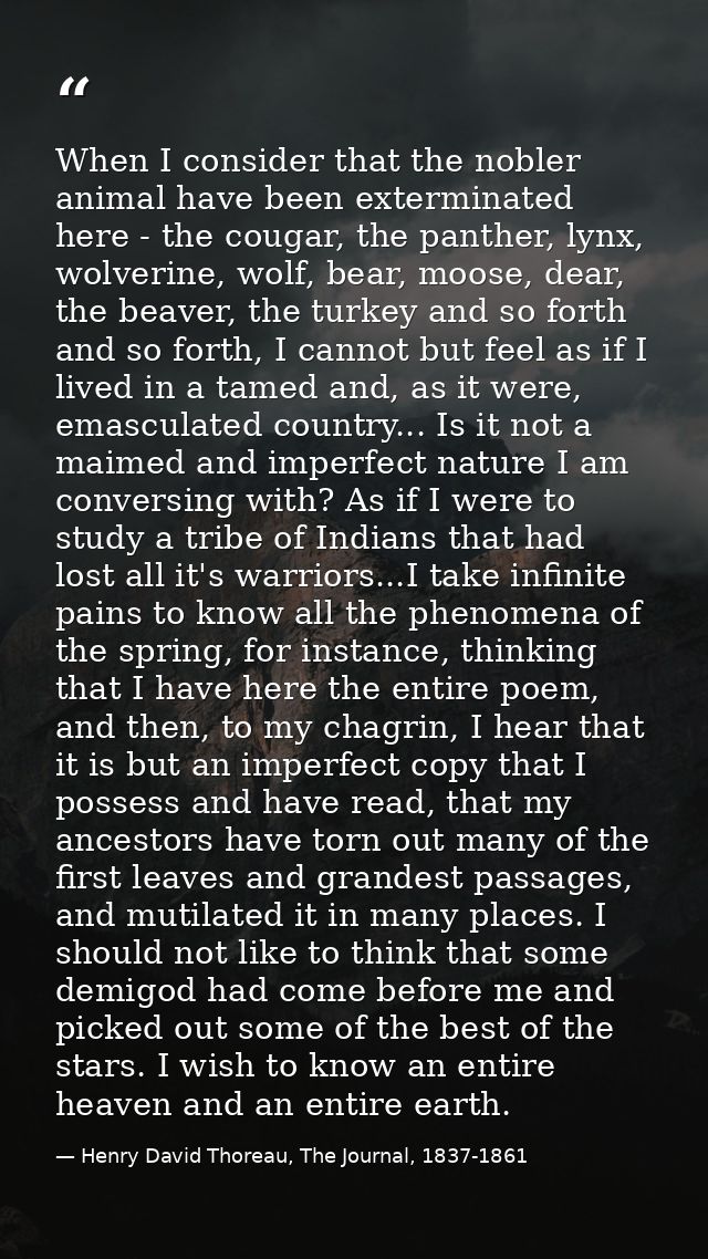 When I consider that the nobler animal have been exterminated here - the cougar, the panther, lynx, wolverine, wolf, bea — Henry David Thoreau, The Journal, 1837-1861