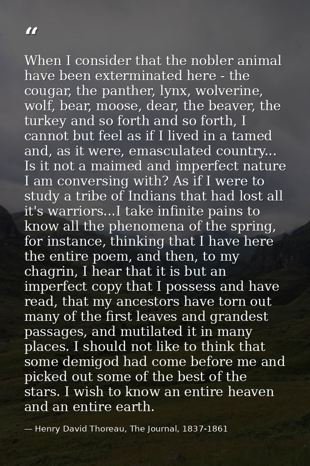 When I consider that the nobler animal have been exterminated here - the cougar, the panther, lynx, wolverine, wolf, bea — Henry David Thoreau, The Journal, 1837-1861