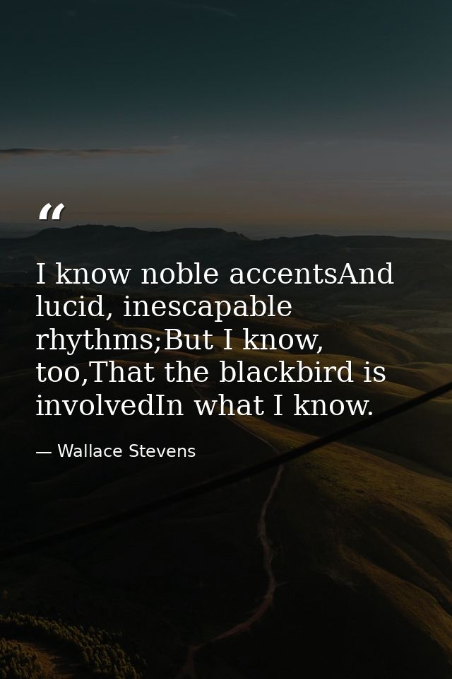 I know noble accentsAnd lucid, inescapable rhythms;But I know, too,That the blackbird is involvedIn what I know. — Wallace Stevens