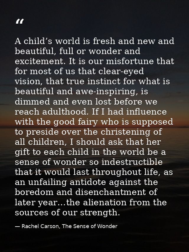 A child’s world is fresh and new and beautiful, full or wonder and excitement. It is our misfortune that for most of us  — Rachel Carson, The Sense of Wonder