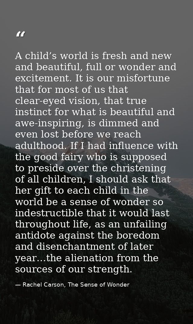 A child’s world is fresh and new and beautiful, full or wonder and excitement. It is our misfortune that for most of us  — Rachel Carson, The Sense of Wonder