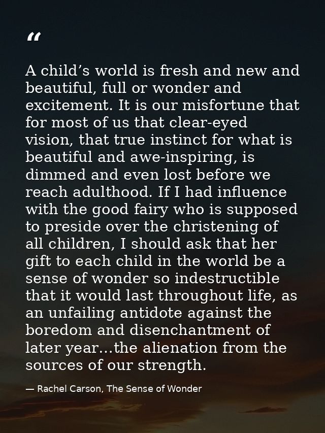 A child’s world is fresh and new and beautiful, full or wonder and excitement. It is our misfortune that for most of us  — Rachel Carson, The Sense of Wonder