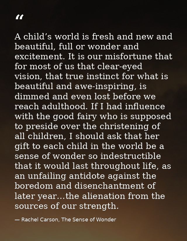 A child’s world is fresh and new and beautiful, full or wonder and excitement. It is our misfortune that for most of us  — Rachel Carson, The Sense of Wonder