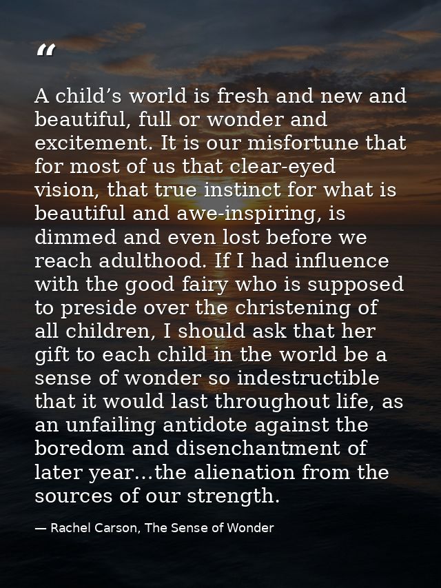 A child’s world is fresh and new and beautiful, full or wonder and excitement. It is our misfortune that for most of us  — Rachel Carson, The Sense of Wonder