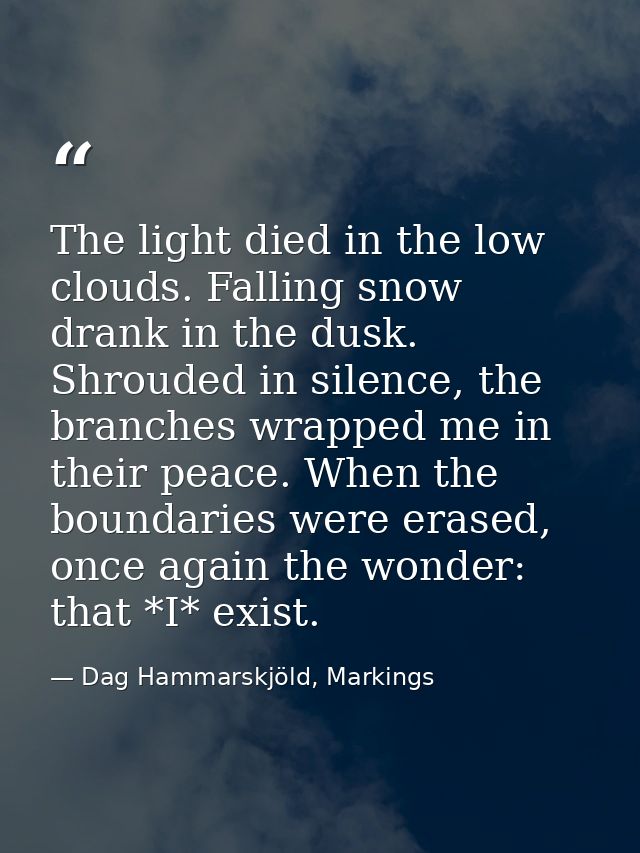 The light died in the low clouds. Falling snow drank in the dusk. Shrouded in silence, the branches wrapped me in their  — Dag Hammarskjöld, Markings