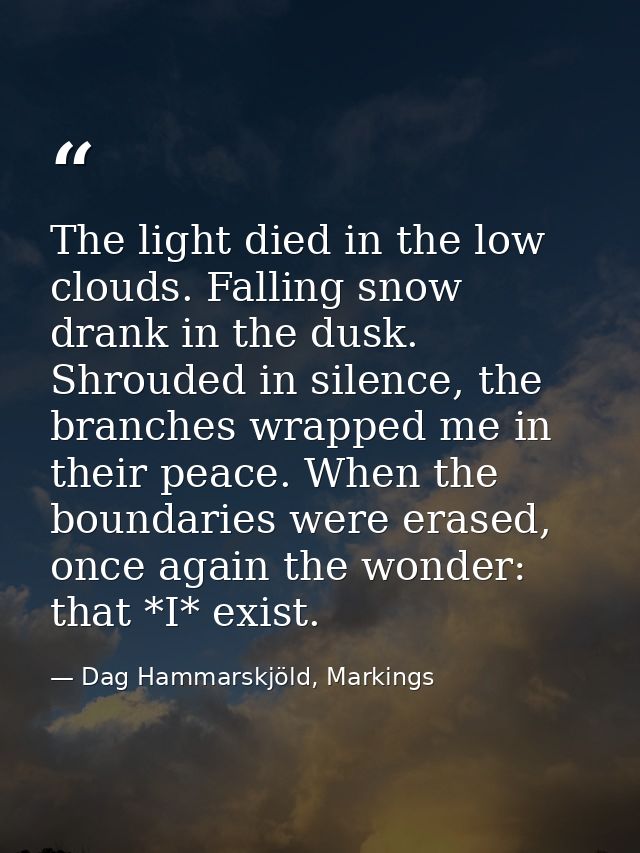 The light died in the low clouds. Falling snow drank in the dusk. Shrouded in silence, the branches wrapped me in their  — Dag Hammarskjöld, Markings