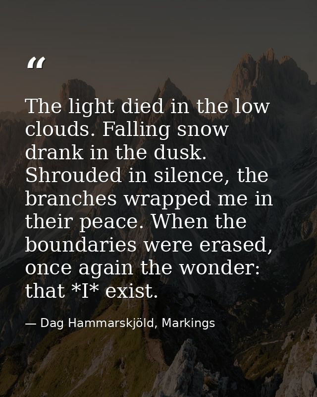 The light died in the low clouds. Falling snow drank in the dusk. Shrouded in silence, the branches wrapped me in their  — Dag Hammarskjöld, Markings