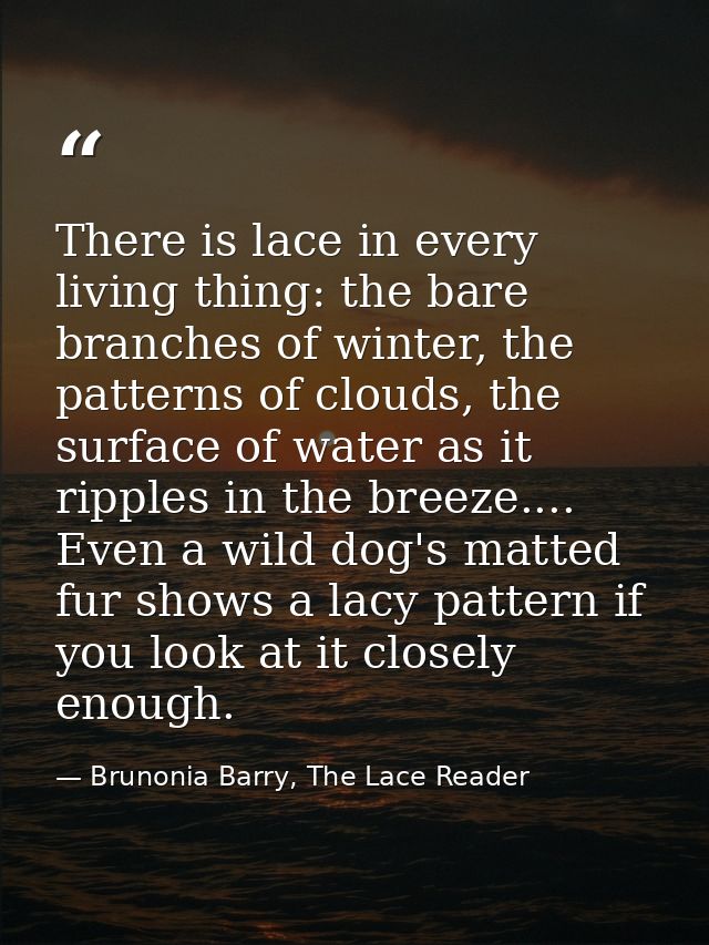 There is lace in every living thing: the bare branches of winter, the patterns of clouds, the surface of water as it rip — Brunonia Barry, The Lace Reader