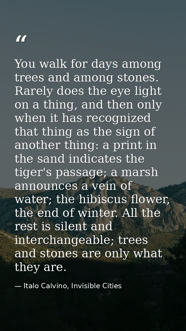 You walk for days among trees and among stones. Rarely does the eye light on a thing, and then only when it has recogniz — Italo Calvino, Invisible Cities