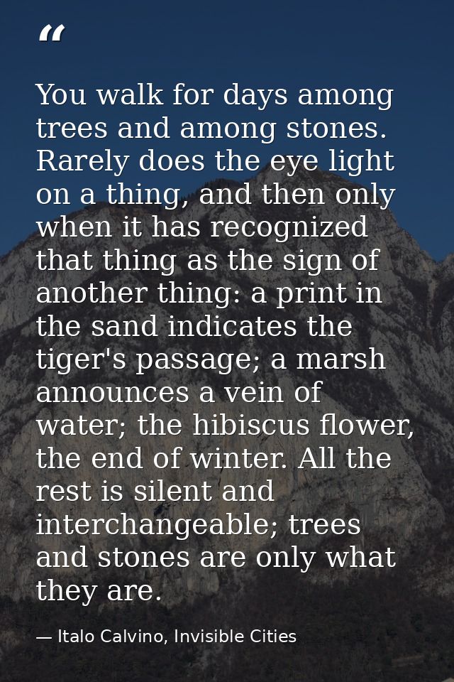 You walk for days among trees and among stones. Rarely does the eye light on a thing, and then only when it has recogniz — Italo Calvino, Invisible Cities