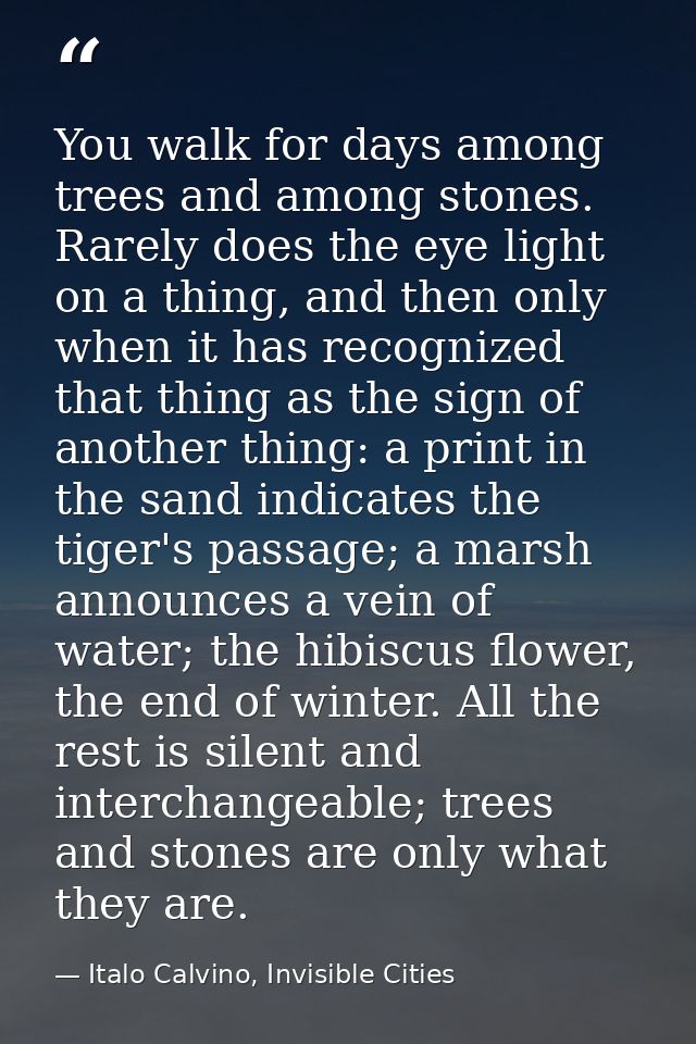You walk for days among trees and among stones. Rarely does the eye light on a thing, and then only when it has recogniz — Italo Calvino, Invisible Cities