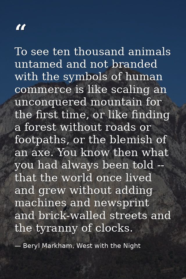 To see ten thousand animals untamed and not branded with the symbols of human commerce is like scaling an unconquered mo — Beryl Markham, West with the Night
