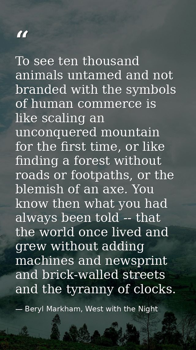 To see ten thousand animals untamed and not branded with the symbols of human commerce is like scaling an unconquered mo — Beryl Markham, West with the Night