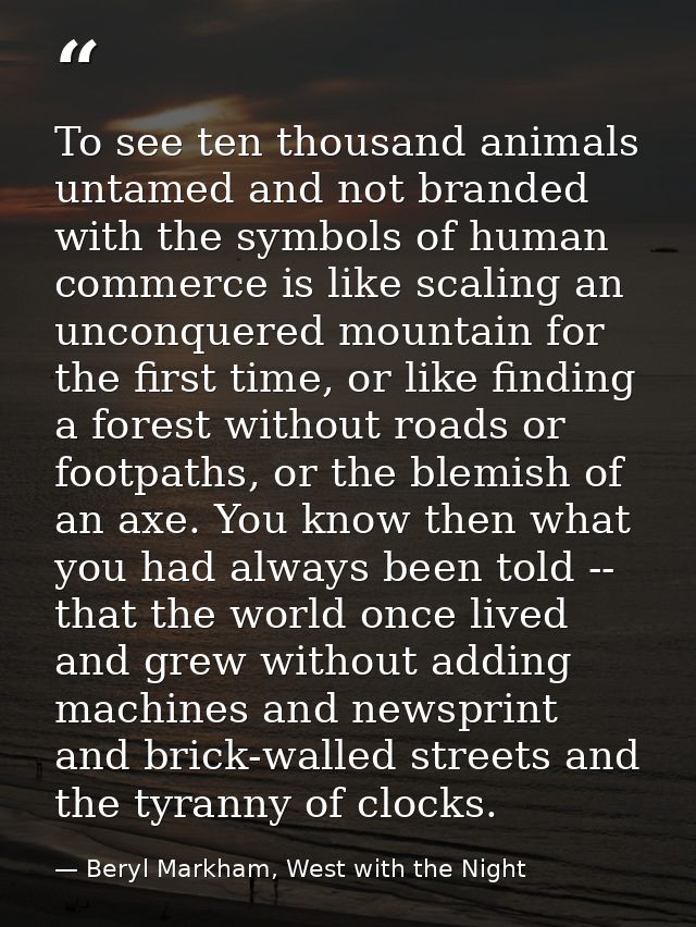 To see ten thousand animals untamed and not branded with the symbols of human commerce is like scaling an unconquered mo — Beryl Markham, West with the Night