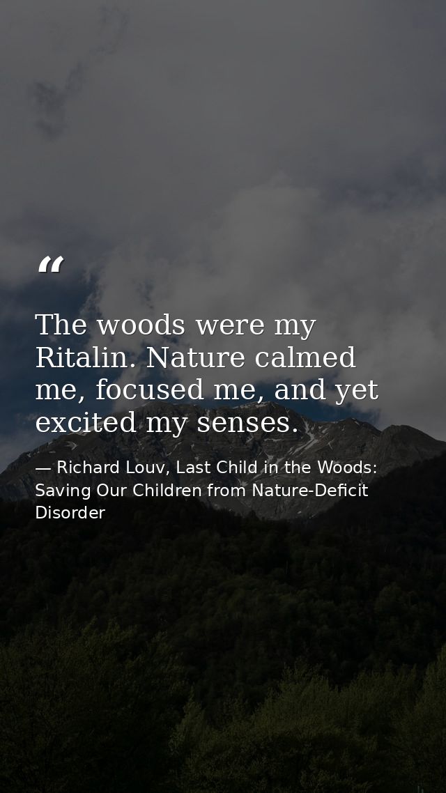The woods were my Ritalin. Nature calmed me, focused me, and yet excited my senses. — Richard Louv, Last Child in the Woods: Saving Our Children from Nature-Deficit Disorder