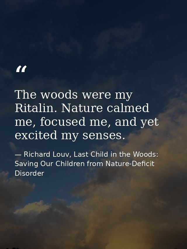 The woods were my Ritalin. Nature calmed me, focused me, and yet excited my senses. — Richard Louv, Last Child in the Woods: Saving Our Children from Nature-Deficit Disorder