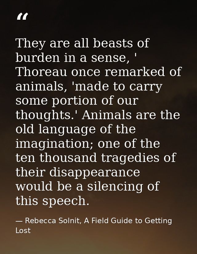 They are all beasts of burden in a sense, ' Thoreau once remarked of animals, 'made to carry some portion of our thought — Rebecca Solnit, A Field Guide to Getting Lost
