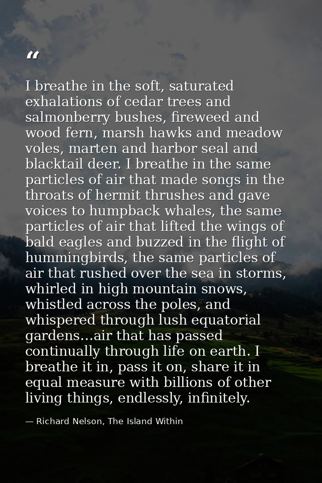 I breathe in the soft, saturated exhalations of cedar trees and salmonberry bushes, fireweed and wood fern, marsh hawks  — Richard Nelson, The Island Within