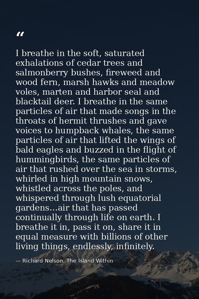 I breathe in the soft, saturated exhalations of cedar trees and salmonberry bushes, fireweed and wood fern, marsh hawks  — Richard Nelson, The Island Within