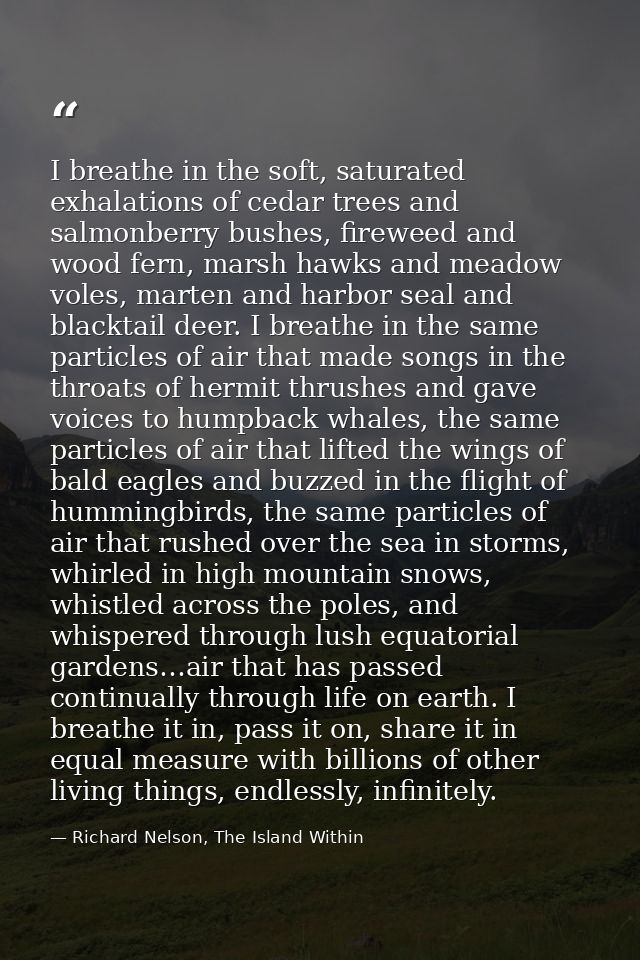 I breathe in the soft, saturated exhalations of cedar trees and salmonberry bushes, fireweed and wood fern, marsh hawks  — Richard Nelson, The Island Within
