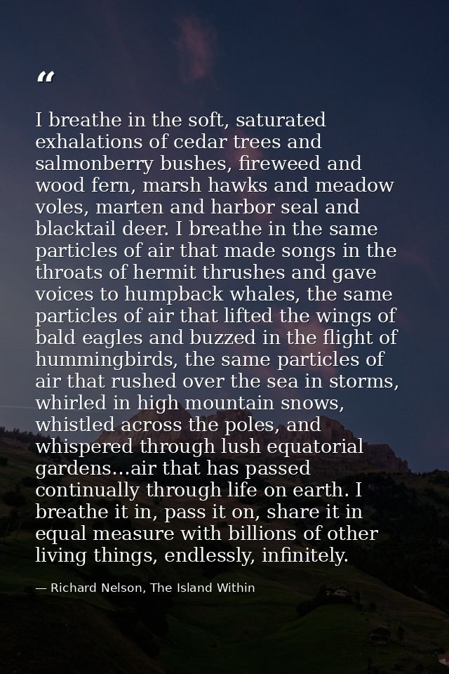 I breathe in the soft, saturated exhalations of cedar trees and salmonberry bushes, fireweed and wood fern, marsh hawks  — Richard Nelson, The Island Within