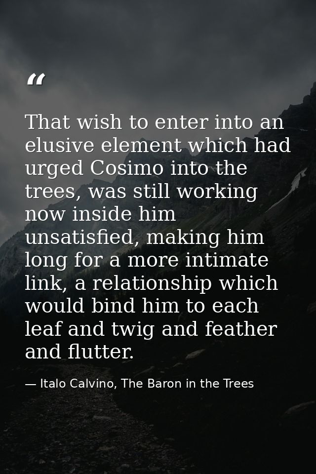 That wish to enter into an elusive element which had urged Cosimo into the trees, was still working now inside him unsat — Italo Calvino, The Baron in the Trees