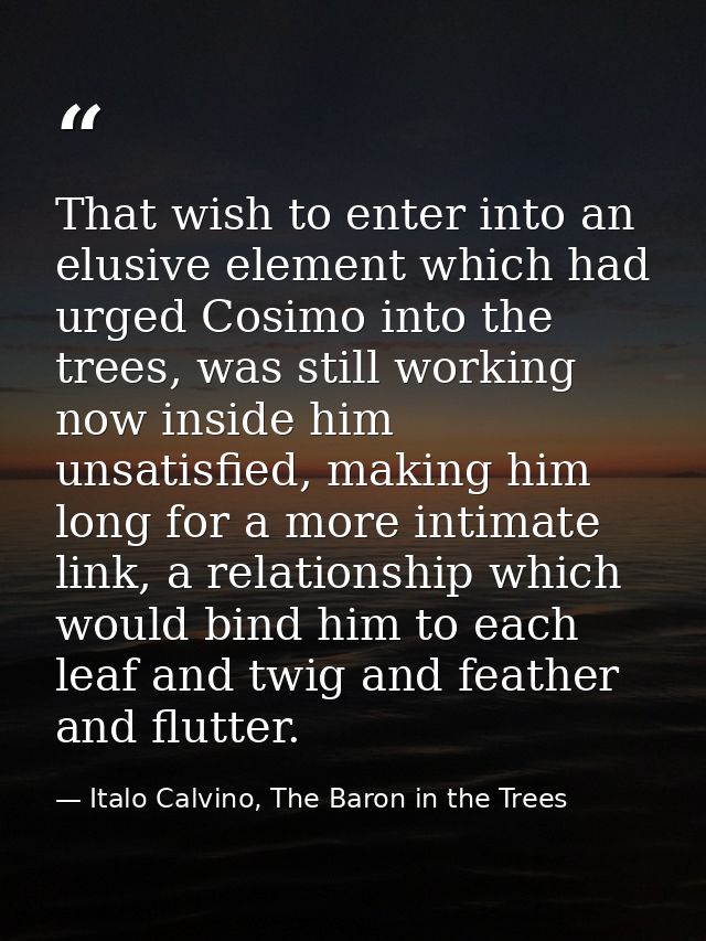 That wish to enter into an elusive element which had urged Cosimo into the trees, was still working now inside him unsat — Italo Calvino, The Baron in the Trees
