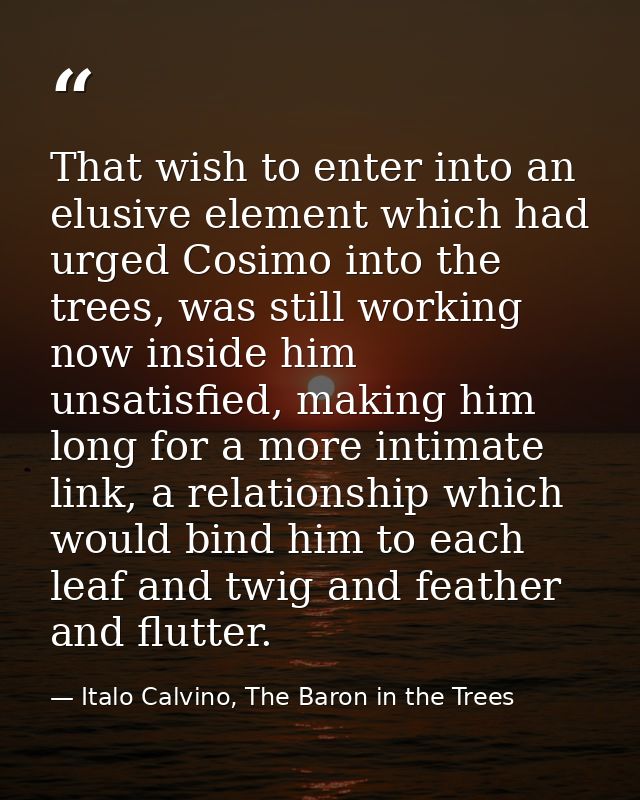 That wish to enter into an elusive element which had urged Cosimo into the trees, was still working now inside him unsat — Italo Calvino, The Baron in the Trees