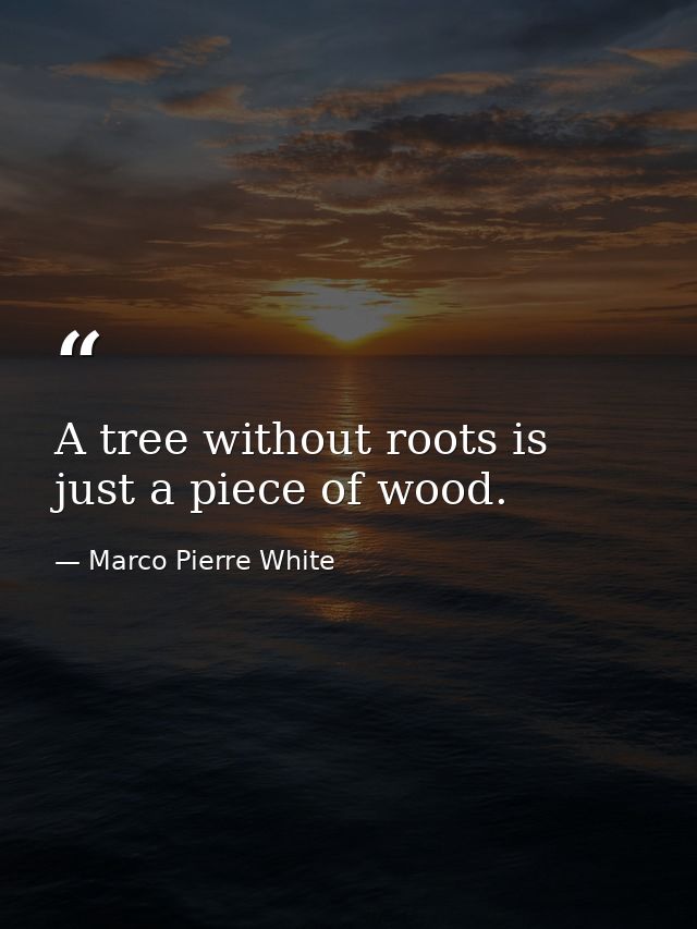A tree without roots is just a piece of wood. — Marco Pierre White