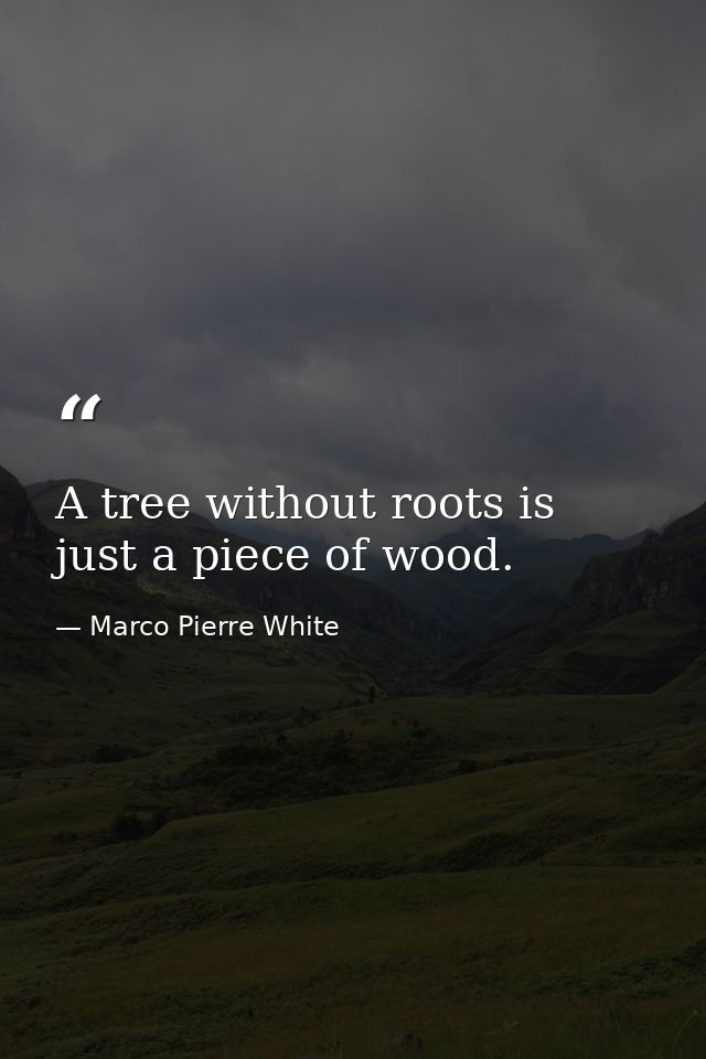 A tree without roots is just a piece of wood. — Marco Pierre White