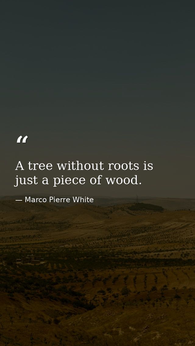 A tree without roots is just a piece of wood. — Marco Pierre White