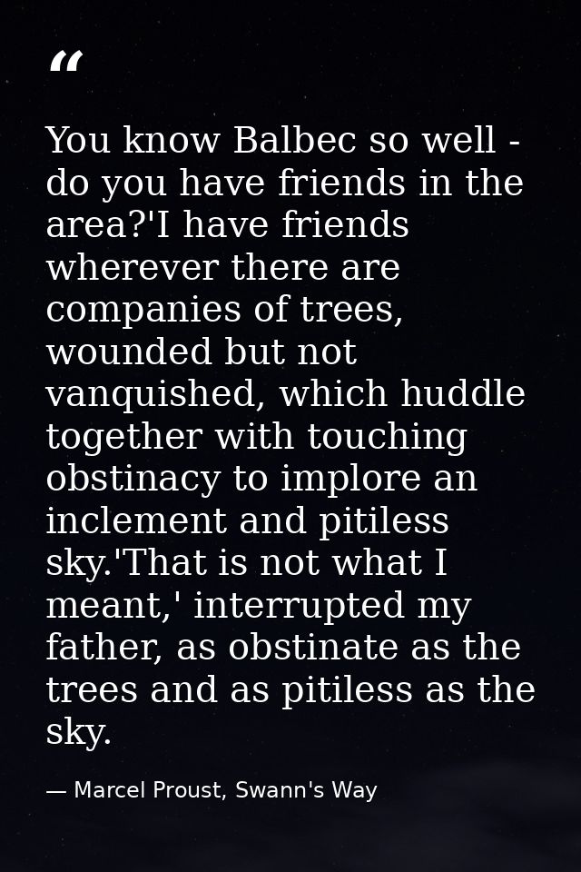 You know Balbec so well - do you have friends in the area?'I have friends wherever there are companies of trees, wounded — Marcel Proust, Swann's Way
