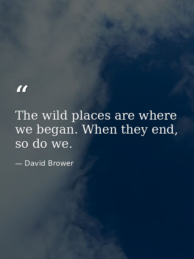 The wild places are where we began. When they end, so do we. — David Brower