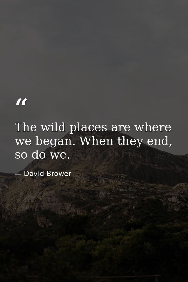 The wild places are where we began. When they end, so do we. — David Brower