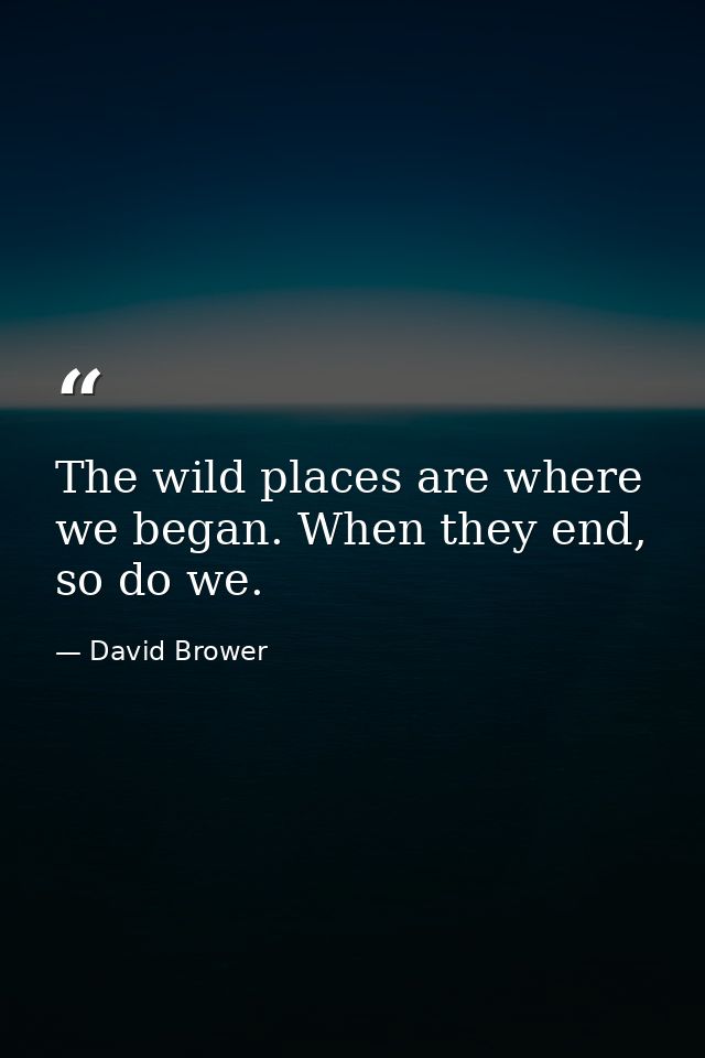 The wild places are where we began. When they end, so do we. — David Brower