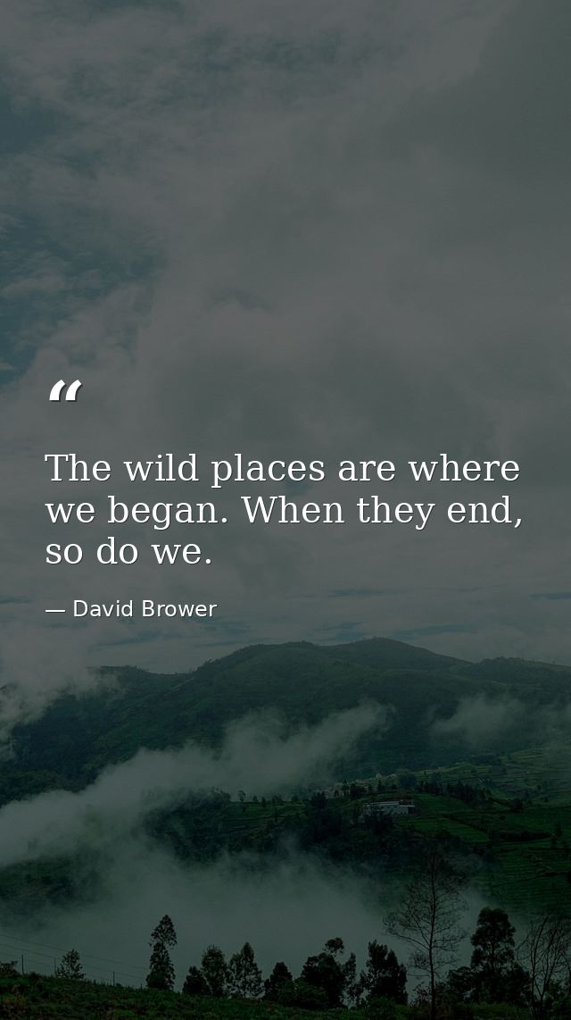 The wild places are where we began. When they end, so do we. — David Brower