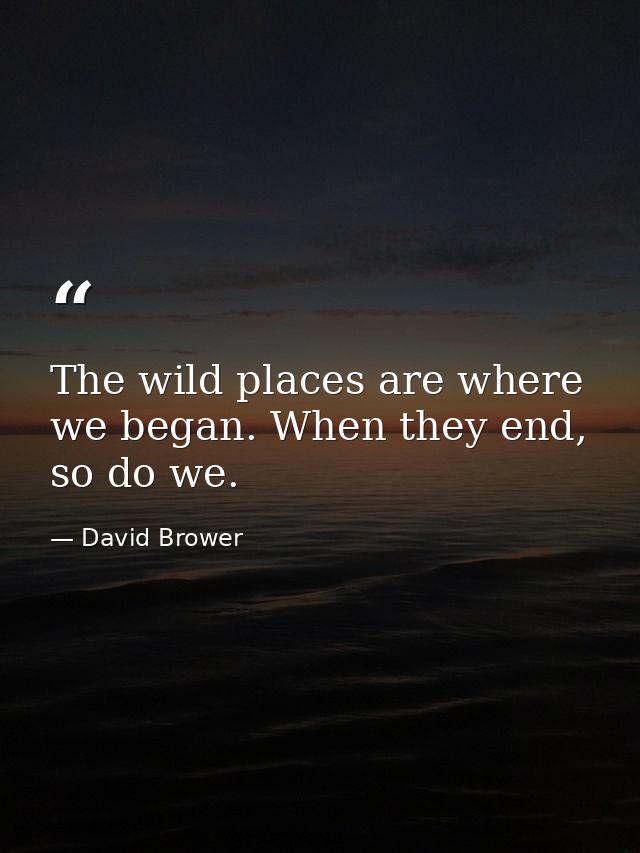 The wild places are where we began. When they end, so do we. — David Brower