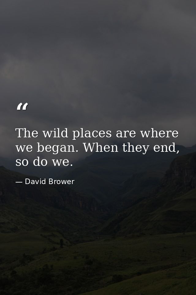 The wild places are where we began. When they end, so do we. — David Brower