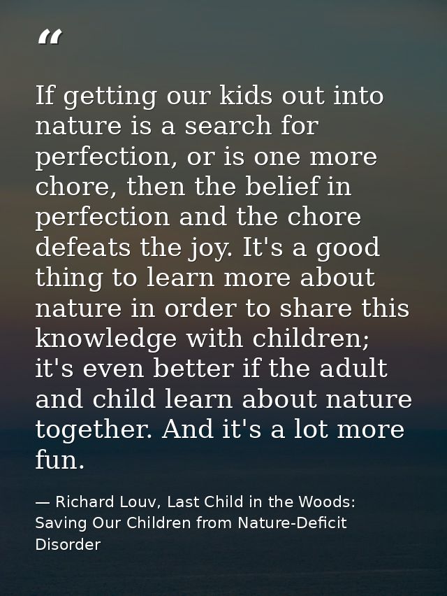 If getting our kids out into nature is a search for perfection, or is one more chore, then the belief in perfection and  — Richard Louv, Last Child in the Woods: Saving Our Children from Nature-Deficit Disorder