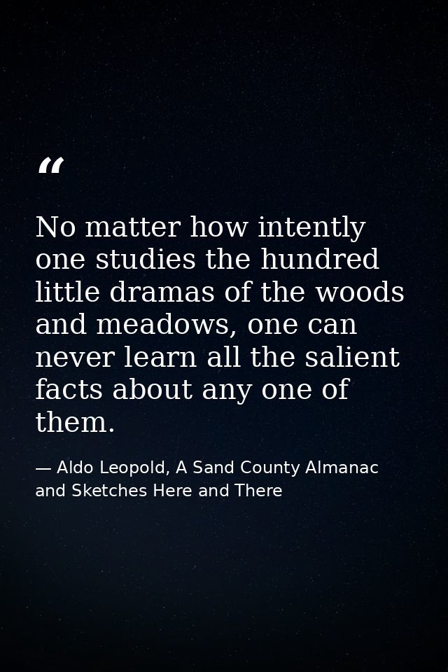 No matter how intently one studies the hundred little dramas of the woods and meadows, one can never learn all the salie — Aldo Leopold, A Sand County Almanac and Sketches Here and There