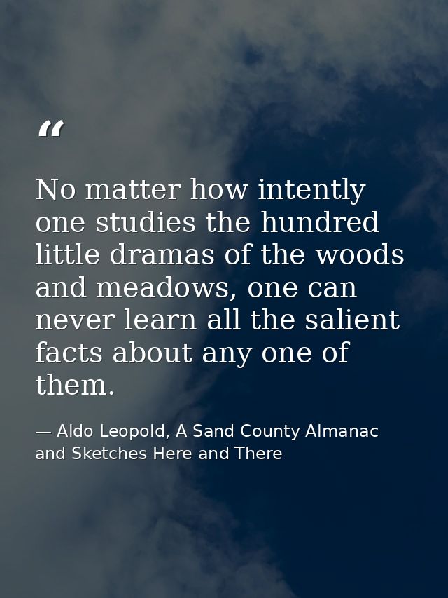 No matter how intently one studies the hundred little dramas of the woods and meadows, one can never learn all the salie — Aldo Leopold, A Sand County Almanac and Sketches Here and There